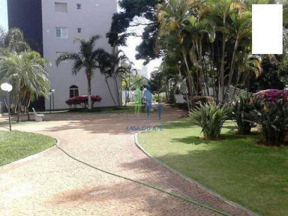 Imagem Apartamento com 2 Quartos à Venda, 58 m² em Cursino - São Paulo Imagem Apartamento com 2 Quartos à Venda, 58 m² em Cursino - São Paulo