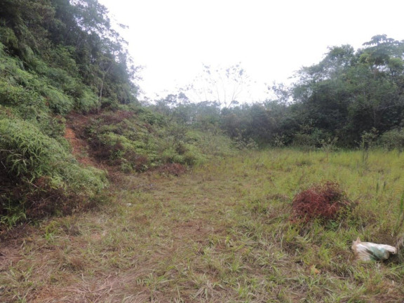 Imagem Terreno à Venda, 41.518 m² em Santo Antônio - Joinville Imagem Terreno à Venda, 41.518 m² em Santo Antônio - Joinville