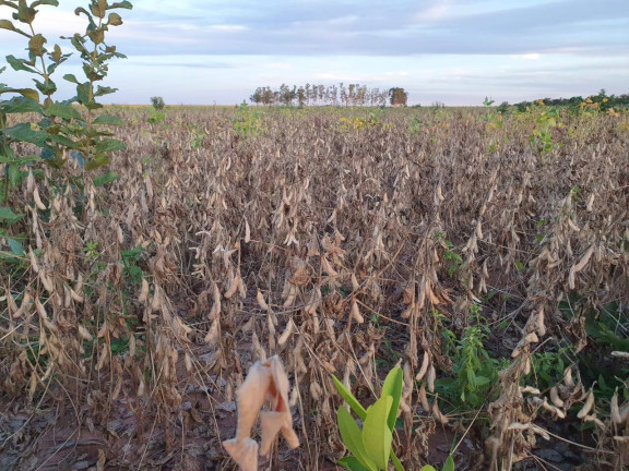 Imagem Fazenda à Venda, 407 m² em Go - Mambaí Imagem Fazenda à Venda, 407 m² em Go - Mambaí