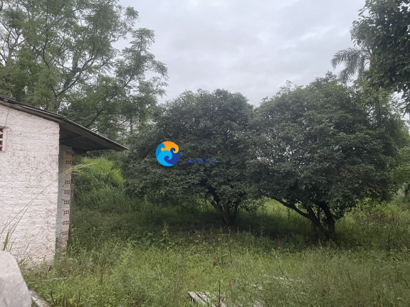 Imagem Casa com 6 Quartos para Alugar, 400 m² em Centro - Morro Da Fumaça Imagem Casa com 6 Quartos para Alugar, 400 m² em Centro - Morro Da Fumaça