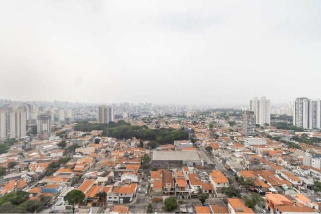 Imagem Cobertura com 4 Quartos à Venda, 240 m² em Vila Dom Pedro I - São Paulo