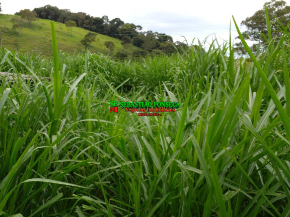 Imagem Chácara à Venda, 14 m² em área Rural De Guaratinguetá - Guaratinguetá Imagem Chácara à Venda, 14 m² em área Rural De Guaratinguetá - Guaratinguetá