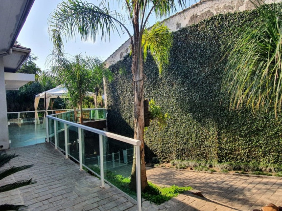 Imagem Casa com 3 Quartos à Venda, 450 m² em Vila Albertina - São Paulo