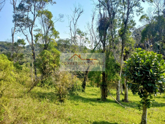 Imagem Terreno à Venda, 24.000 m² em Palmeiras - Juquitiba Imagem Terreno à Venda, 24.000 m² em Palmeiras - Juquitiba