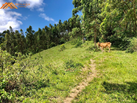 Imagem Terreno à Venda, 14.580 m² em Cangueri De Fora - Imaruí Imagem Terreno à Venda, 14.580 m² em Cangueri De Fora - Imaruí