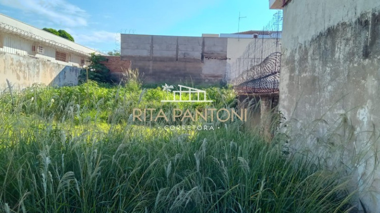 Imagem Terreno à Venda, 270 m² em Vila Seixas - Ribeirão Preto Imagem Terreno à Venda, 270 m² em Vila Seixas - Ribeirão Preto