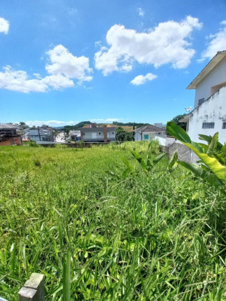 Terreno à Venda,  em Pedra Branca - Palhoça