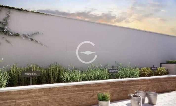 Imagem Apartamento com 2 Quartos à Venda, 45 m² em Vila Suzana - São Paulo Imagem Apartamento com 2 Quartos à Venda, 45 m² em Vila Suzana - São Paulo