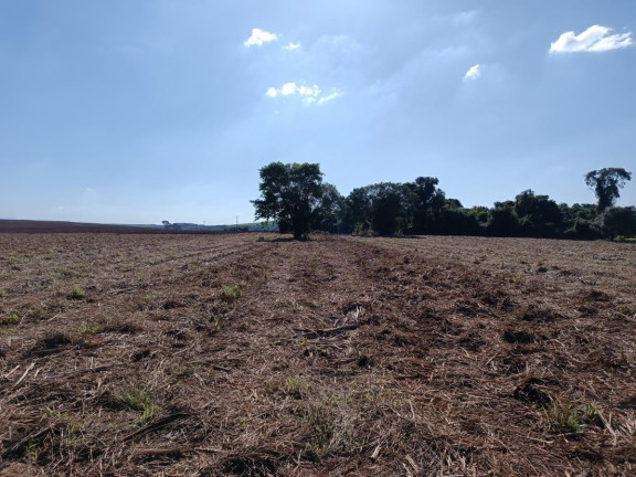 Imagem Chácara à Venda, 29 m² em Rural - Avaré Imagem Chácara à Venda, 29 m² em Rural - Avaré