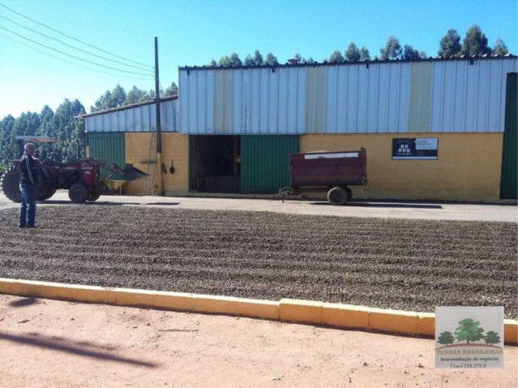 Imagem Fazenda à Venda, 2.000 m² em Centro - Campanha Imagem Fazenda à Venda, 2.000 m² em Centro - Campanha