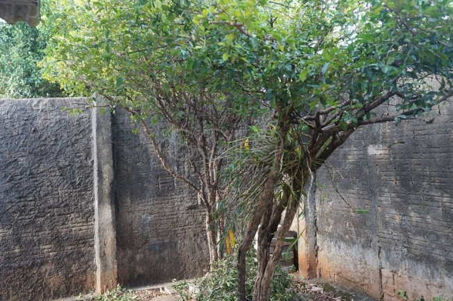 Casa com 2 Quartos à Venda, 210 m² em Yolanda Opice - Araraquara
