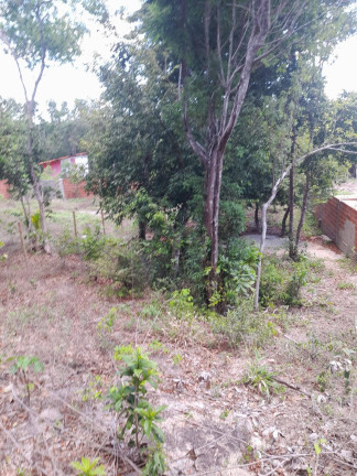 Imagem Terreno à Venda, 301 m² em Praia Da Pipa - Tibau Do Sul Imagem Terreno à Venda, 301 m² em Praia Da Pipa - Tibau Do Sul