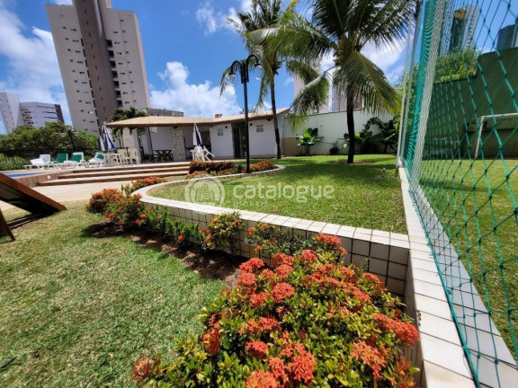 Imagem Apartamento com 3 Quartos para Alugar, 92 m² em Ponta Negra - Natal Imagem Apartamento com 3 Quartos para Alugar, 92 m² em Ponta Negra - Natal