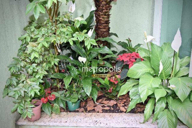 Imagem Sobrado com 2 Quartos à Venda, 138 m² em Jardim Santo Antônio - Santo André Imagem Sobrado com 2 Quartos à Venda, 138 m² em Jardim Santo Antônio - Santo André