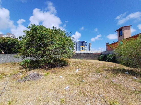 Imagem Terreno à Venda, 765 m² em Ponta Negra - Natal