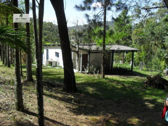 Imagem Chácara com 3 Quartos à Venda, 300 m² em Capela Do Cepo - São Roque Imagem Chácara com 3 Quartos à Venda, 300 m² em Capela Do Cepo - São Roque