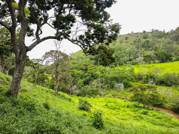 Imagem Imóvel com 3 Quartos à Venda, 235 m² em Colônia Alpina - Teresópolis