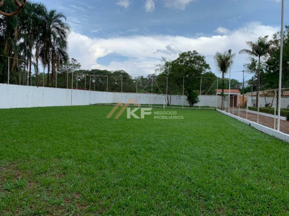 Imagem Imóvel com 3 Quartos à Venda, 5.000 m² em Jardim José Figueira - Ribeirão Preto