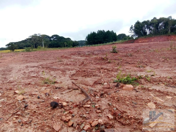 Imagem Terreno à Venda, 4.411 m² em Campo Largo Da Roseira - São José Dos Pinhais Imagem Terreno à Venda, 4.411 m² em Campo Largo Da Roseira - São José Dos Pinhais