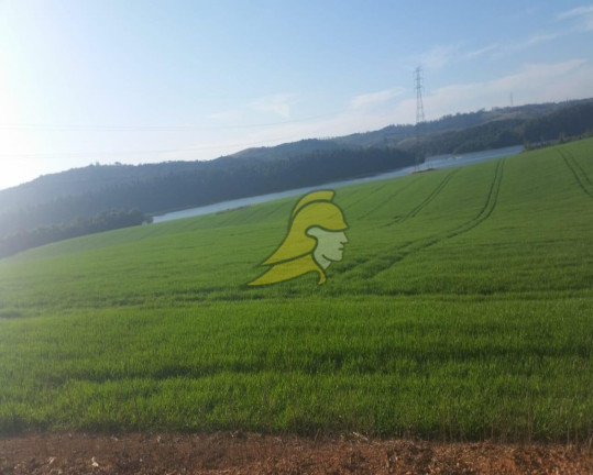 Imagem Imóvel à Venda, 2.880.000 m² em Centro - São Roque Imagem Imóvel à Venda, 2.880.000 m² em Centro - São Roque