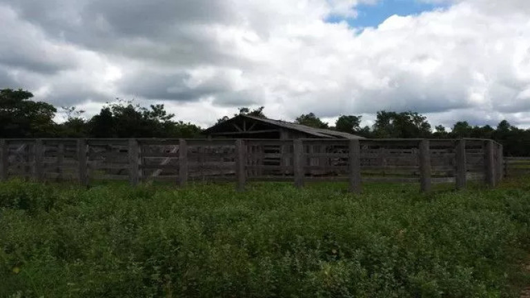 Imagem Fazenda à Venda, 500 m² em Zona Rural - Paranatinga