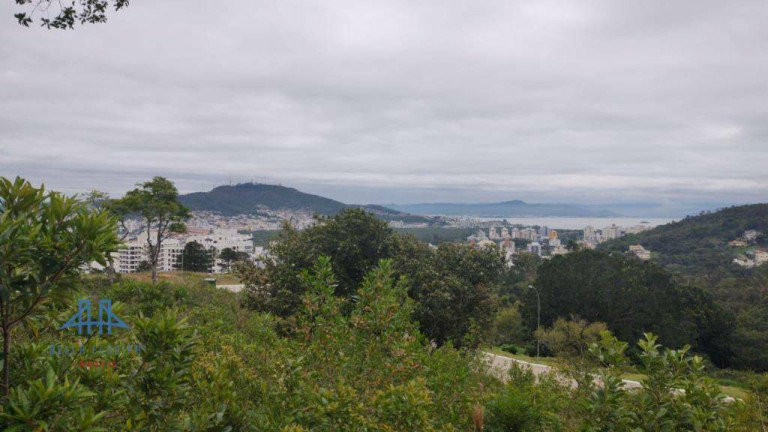 Imagem Terreno à Venda, 473 m² em Itacorubi - Florianópolis Imagem Terreno à Venda, 473 m² em Itacorubi - Florianópolis