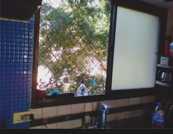 Imagem Apartamento com 2 Quartos à Venda, 74 m² em Vila Andrade - São Paulo Imagem Apartamento com 2 Quartos à Venda, 74 m² em Vila Andrade - São Paulo