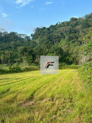 Imagem Chácara com 2 Quartos à Venda, 347.875 m² em Centro - Guaraqueçaba