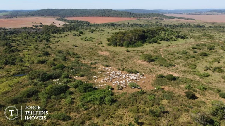 Imagem Fazenda à Venda, 1.185 m² em Zona Rural - Matupá Imagem Fazenda à Venda, 1.185 m² em Zona Rural - Matupá