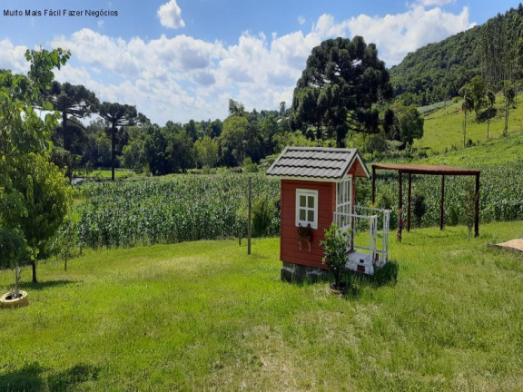 Imagem Imóvel com 4 Quartos à Venda, 300 m² em Pinhal Alto - Nova Petrópolis