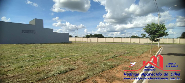 Imagem Terreno em Condomínio à Venda, 275 m² em Birigui Imagem Terreno em Condomínio à Venda, 275 m² em Birigui