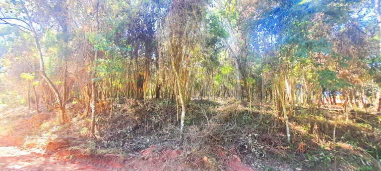 Imagem Imóvel à Venda, 700 m² em Recanto Dos Palmares - Atibaia Imagem Imóvel à Venda, 700 m² em Recanto Dos Palmares - Atibaia