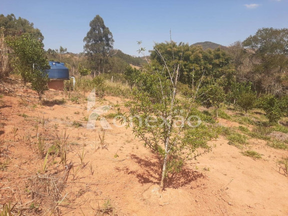 Imagem Chácara com 2 Quartos à Venda, 150 m² em Centro - Paraibuna Imagem Chácara com 2 Quartos à Venda, 150 m² em Centro - Paraibuna