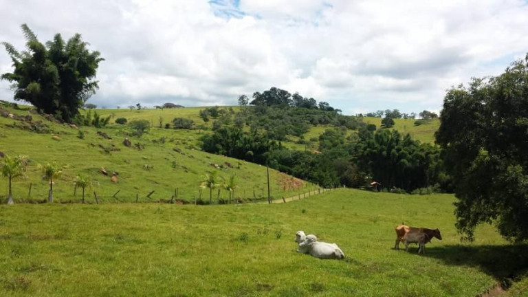 Imagem Fazenda à Venda, 174.000 m² em Bairro Dos Pintos - Itatiba Imagem Fazenda à Venda, 174.000 m² em Bairro Dos Pintos - Itatiba