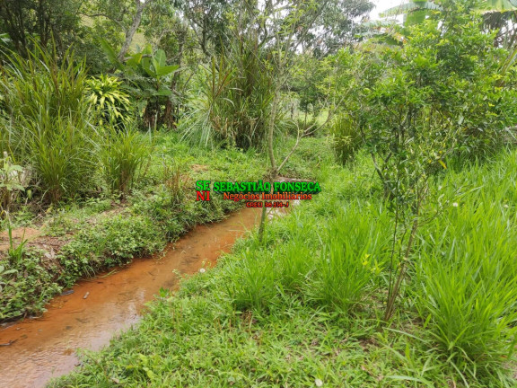 Chácara com 4 Quartos à Venda, 2.000 m² em Terra Seca - Paraibuna