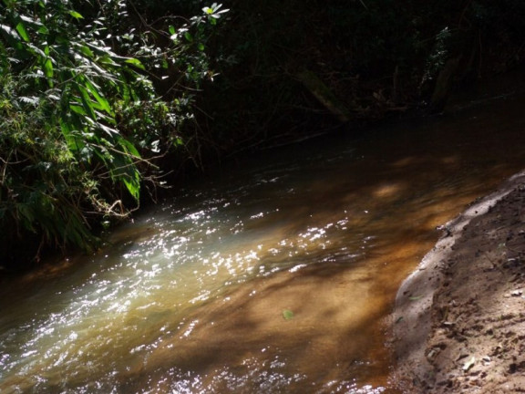 Imagem Imóvel à Venda, 435.600 m² em Zona Rural - Jacui Imagem Imóvel à Venda, 435.600 m² em Zona Rural - Jacui