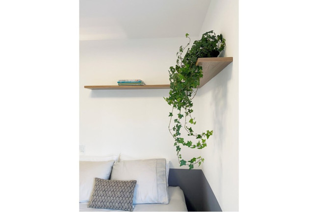 Imagem Apartamento com 1 Quarto à Venda, 35 m² em Saúde - São Paulo Imagem Apartamento com 1 Quarto à Venda, 35 m² em Saúde - São Paulo
