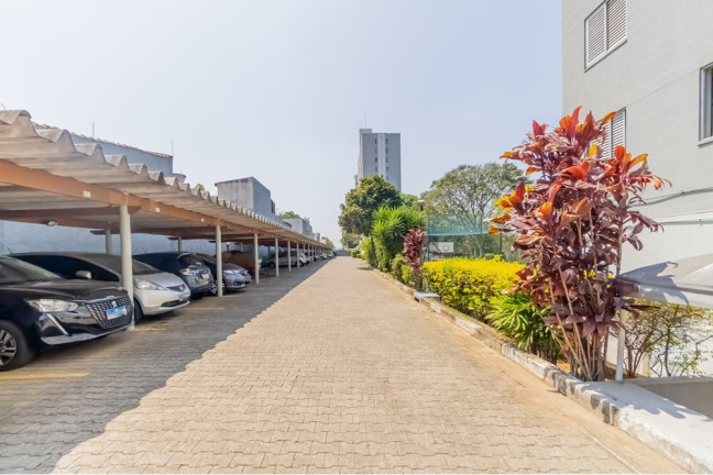 Imagem Apartamento com 2 Quartos à Venda, 68 m² em Jardim Da Saúde - São Paulo