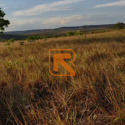 Imagem Fazenda à Venda, 1.030.000 m² em Distrito Jk - Formosa Imagem Fazenda à Venda, 1.030.000 m² em Distrito Jk - Formosa