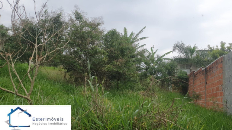 Imagem Terreno para Alugar ou Temporada, 291 m² em Vila Constança (botujuru) - Campo Limpo Paulista Imagem Terreno para Alugar ou Temporada, 291 m² em Vila Constança (botujuru) - Campo Limpo Paulista