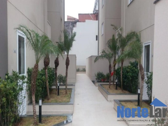 Imagem Apartamento com 3 Quartos à Venda, 68 m² em Vila Souza - São Paulo