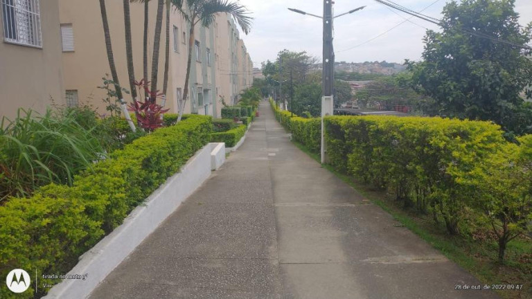 Imagem Apartamento com 2 Quartos à Venda, 56 m² em Vila Silvia - São Paulo Imagem Apartamento com 2 Quartos à Venda, 56 m² em Vila Silvia - São Paulo