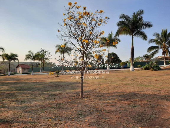 Imagem Terreno à Venda, 10.230 m² em Loteamento Chácaras Ingrid - Taubaté Imagem Terreno à Venda, 10.230 m² em Loteamento Chácaras Ingrid - Taubaté