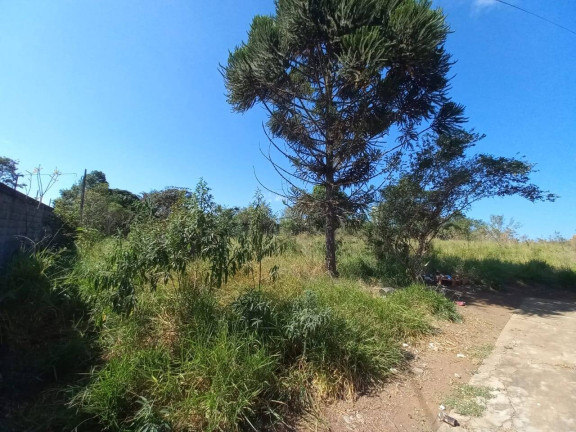 Imagem Terreno à Venda, 3.753 m² em Vale Do Atibaia I - Piracaia Imagem Terreno à Venda, 3.753 m² em Vale Do Atibaia I - Piracaia