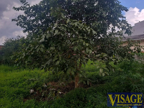 Imagem Terreno à Venda, 250 m² em Jardim Dulce - Guararema Imagem Terreno à Venda, 250 m² em Jardim Dulce - Guararema