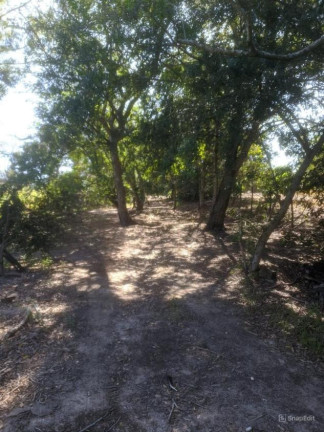 Imagem Chácara com 2 Quartos à Venda, 3.870 m² em área Rural De Lins - Lins Imagem Chácara com 2 Quartos à Venda, 3.870 m² em área Rural De Lins - Lins