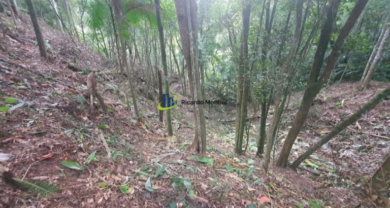 Imagem Imóvel à Venda,  em Centro - Camboriú