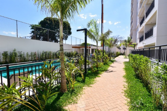 Imagem Imóvel com 3 Quartos à Venda, 79 m² em Vila Guilherme - São Paulo Imagem Imóvel com 3 Quartos à Venda, 79 m² em Vila Guilherme - São Paulo