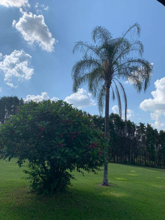 Imagem Chácara com 4 Quartos à Venda, 20.000 m² em Centro - Boituva Imagem Chácara com 4 Quartos à Venda, 20.000 m² em Centro - Boituva