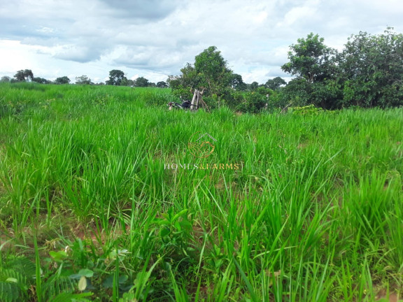 Imagem Imóvel com 3 Quartos à Venda, 2.770 m² em Zona Rural - Barra Do Bugres Imagem Imóvel com 3 Quartos à Venda, 2.770 m² em Zona Rural - Barra Do Bugres